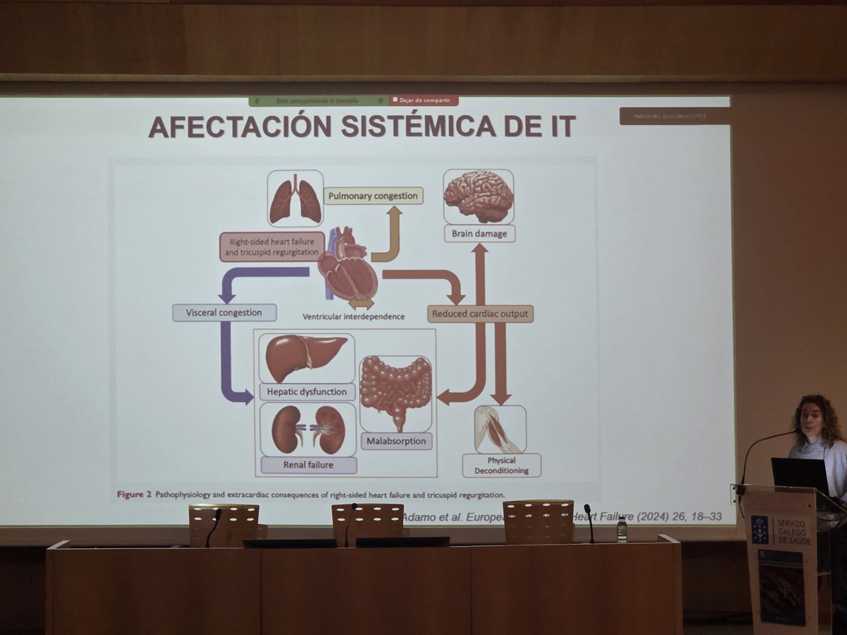 rafavidalperez tweet media