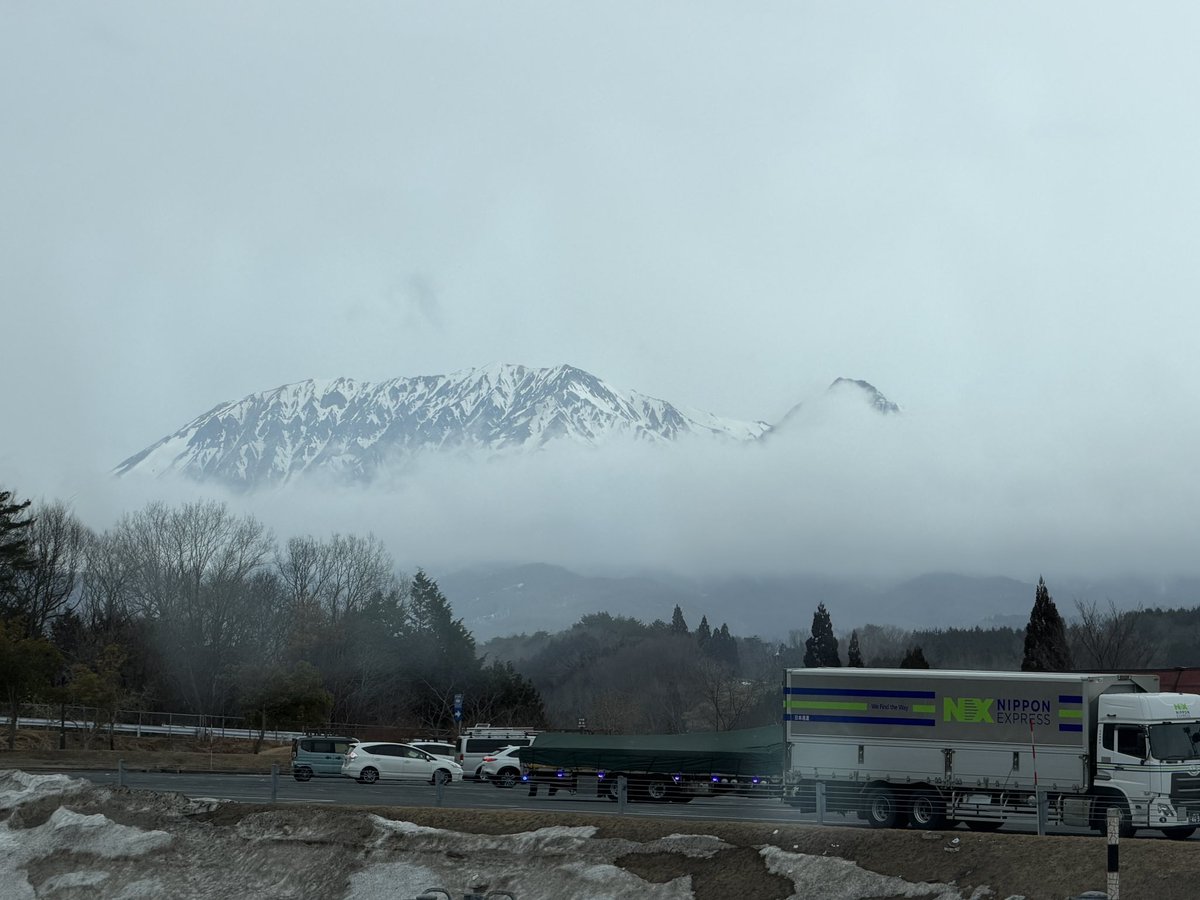 ハニトラ梅木/うめき tweet media