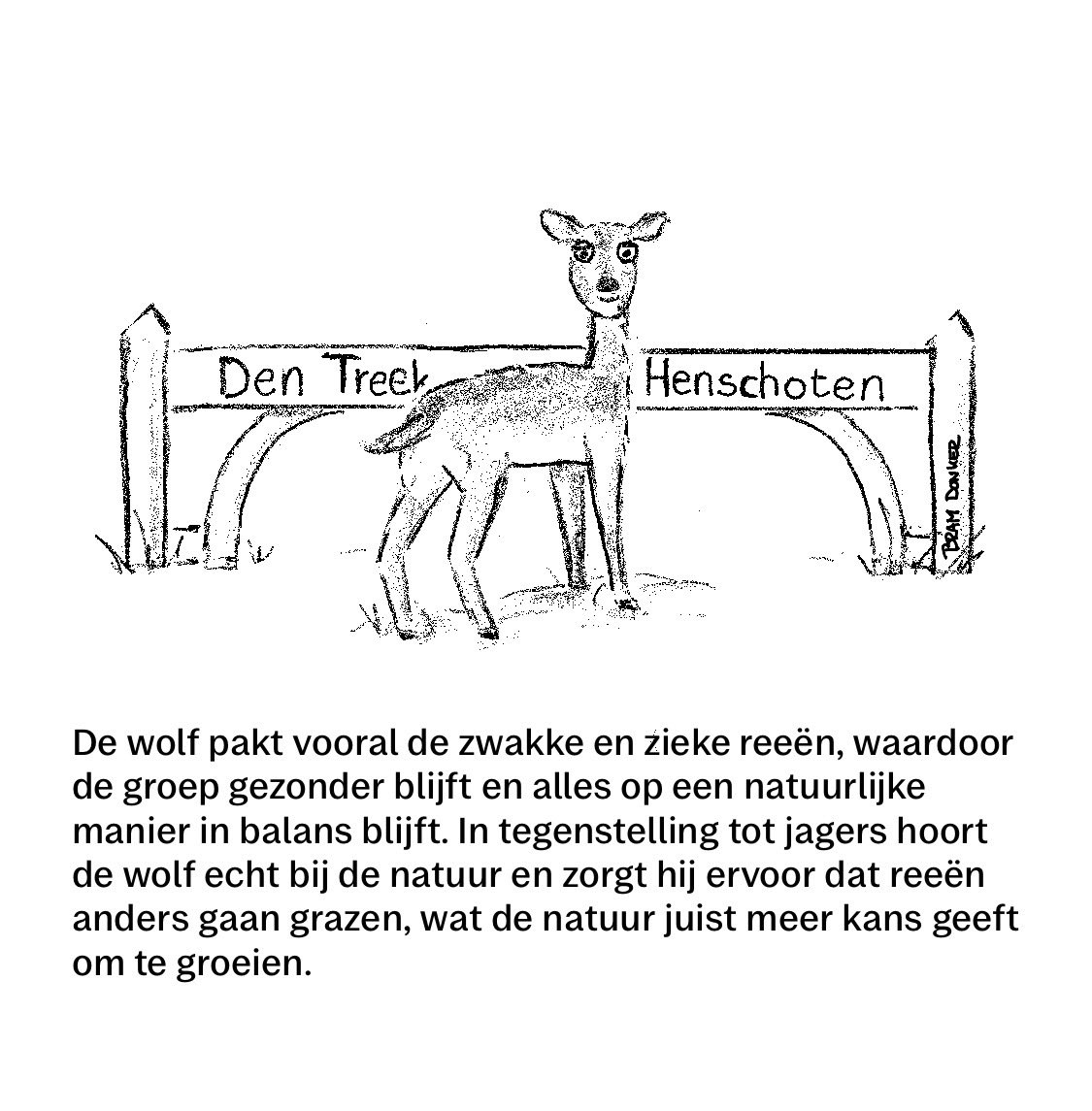 Wolven zorgen voor gezonde reeën en geven planten en bomen de kans om te groeien.

#Wolven #Reeën #Natuur
<a href="/faunabeschermin/">De Faunabescherming</a> <a href="/WolveninUtrecht/">Wolven in Utrecht</a>