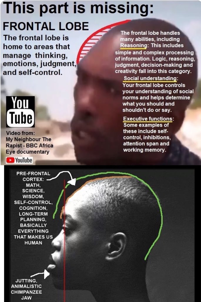 JustinaUSA's tweet photo. @not_rekt_11 Someone I know works for an at home customer service company.

Lots of black DEI hires.

During training they spent THREE WEEKS on empathy.

This person didn't understand why.
So I had to explain the difference between our pre-frontal cortex and theirs. https://t.co/LL7lphsH5S