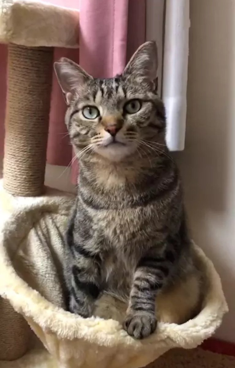 親バカ承知です🙇 メロンは写真でも可愛いけど リアルで見るほうが圧倒