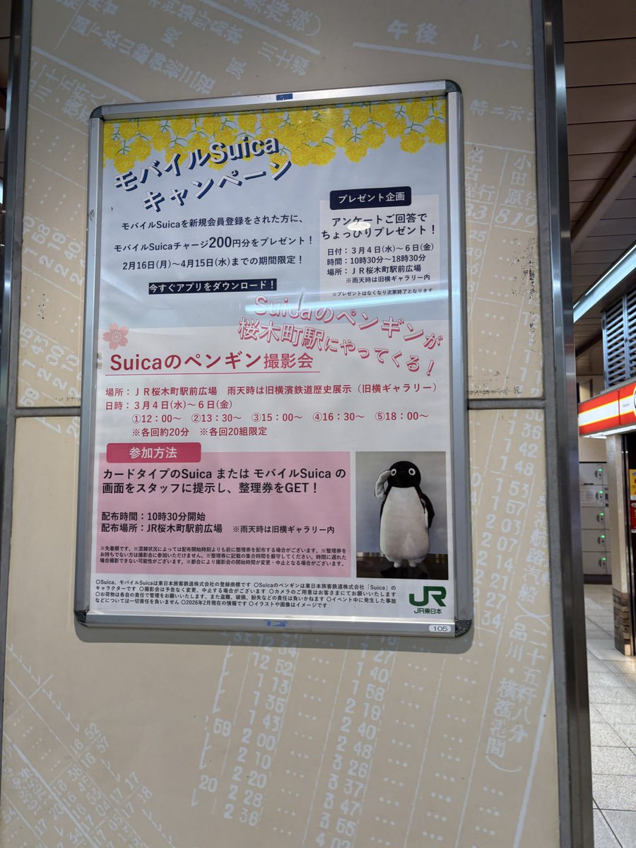 Kaito_Uekus0625's tweet photo. 今週の水木金曜日にSuicaのペンギンが桜木町にやって来ます。 https://t.co/mxjHpEUVy3