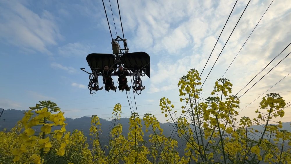 ChongqingFuling's tweet image. Spring, seen from above. 🌿🚡
🌸At Meixin Red Wine Town in Fuling, visitors ride the cable car above fields of blooming rapeseed flowers, with the Yangtze River stretching beyond.
#Fuling #Chongqing #China