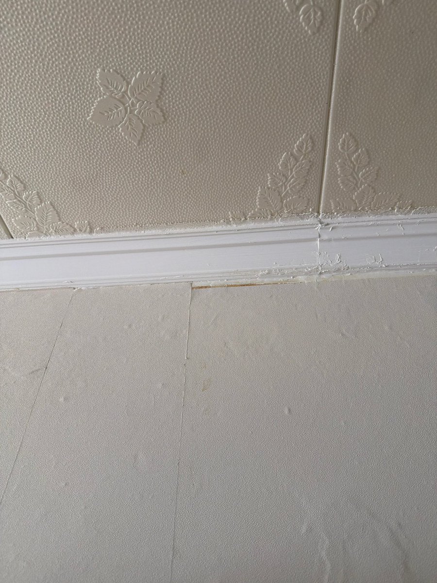 блин, полин tweet media