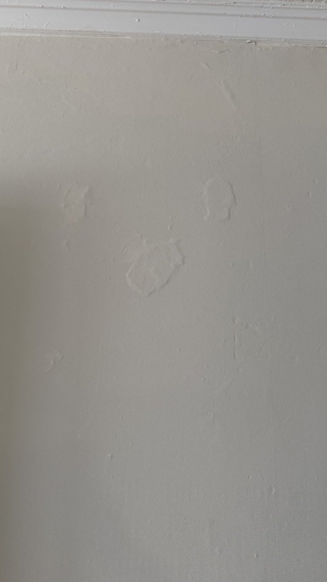 блин, полин tweet media