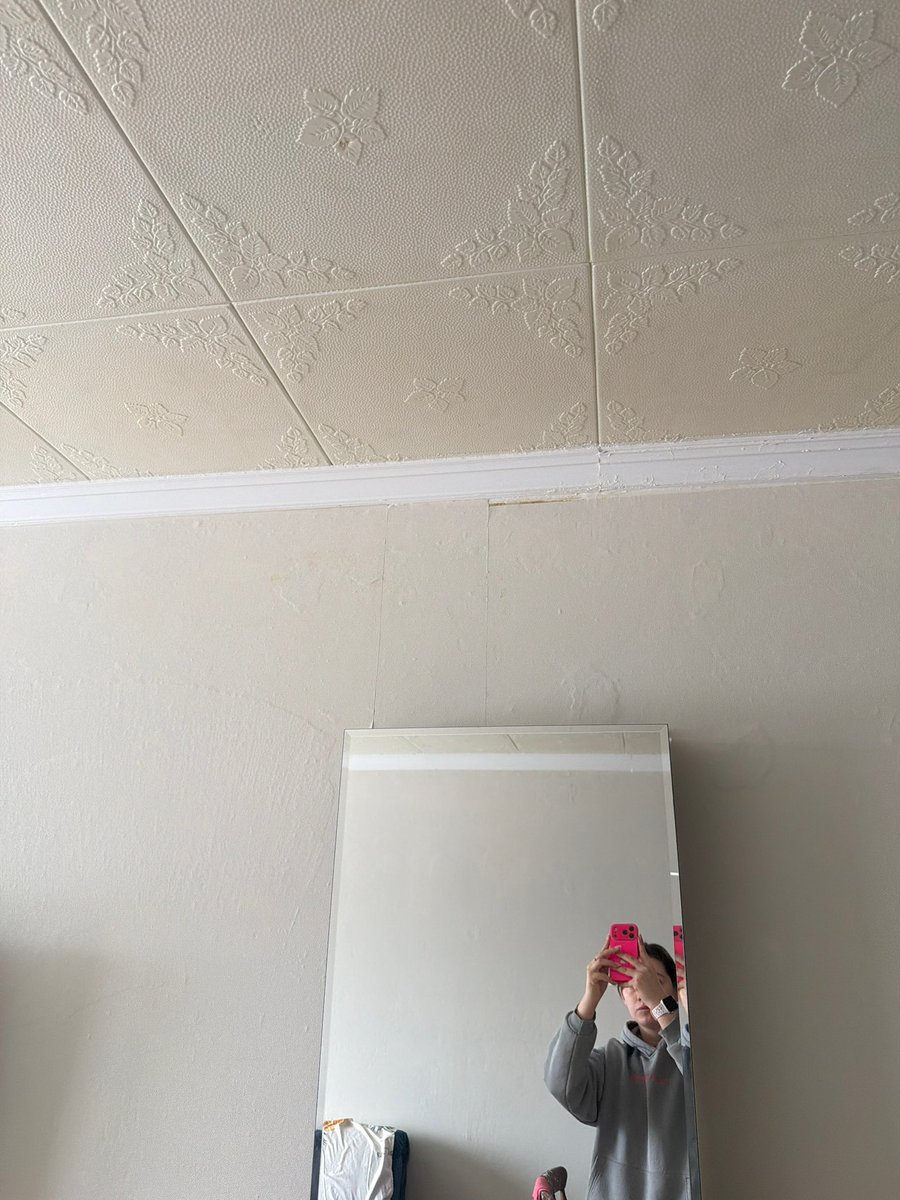 блин, полин tweet media