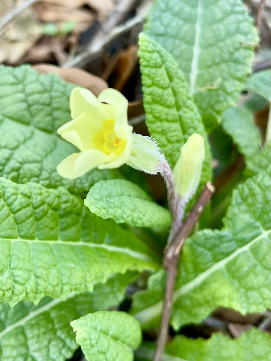 Stifyn Parri 🌈 tweet media