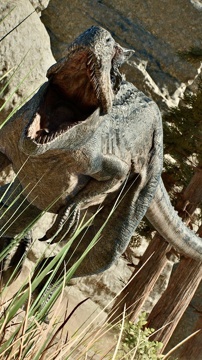 📸－FIRST－📸 tweet media