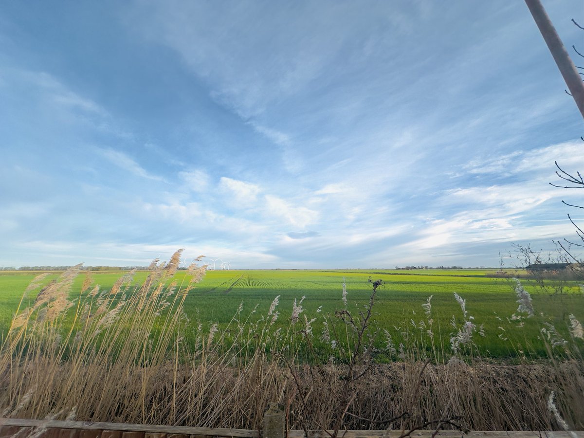 Mario DeCristofano 💻 tweet media