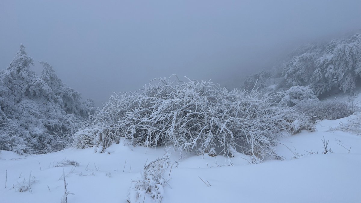 THICC520's tweet photo. Wangmangling's majestic snowscape: fog-enshrouded peaks and snow-capped mountains create a winter wonderland. #Jincheng https://t.co/wmWEwWSOAQ
