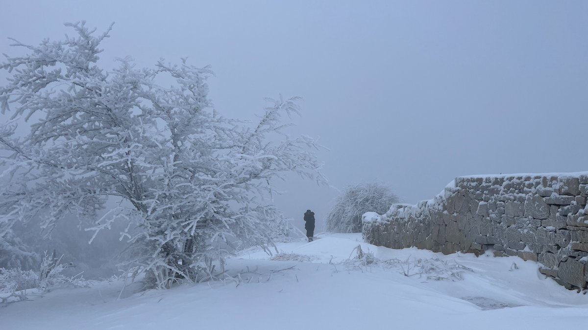 THICC520's tweet photo. Wangmangling's majestic snowscape: fog-enshrouded peaks and snow-capped mountains create a winter wonderland. #Jincheng https://t.co/wmWEwWSOAQ