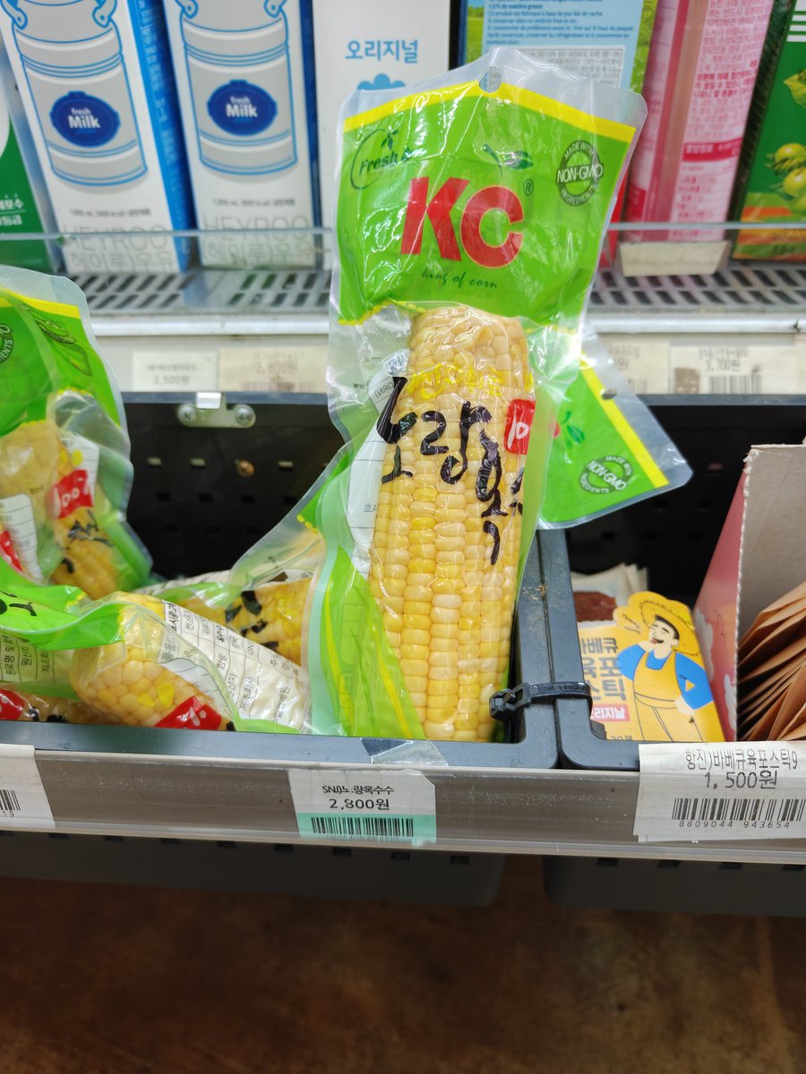 ダウード乖巧鼠🐭 tweet media