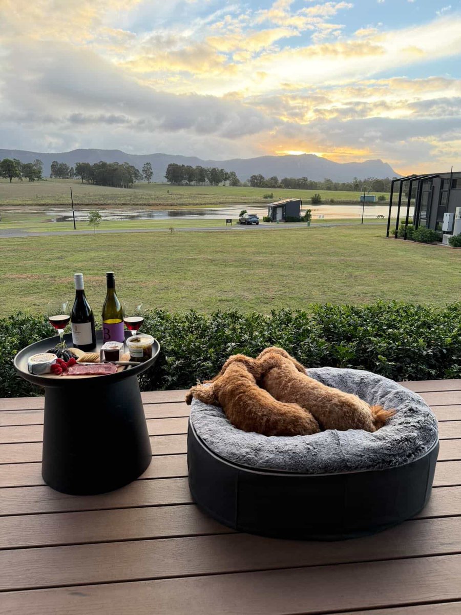 Ambient Lounge tweet media