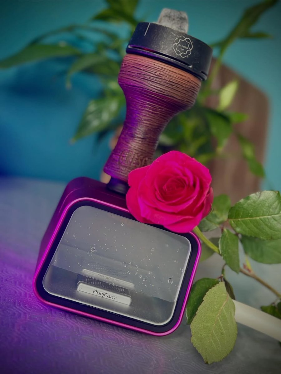 PuruFamu tweet media