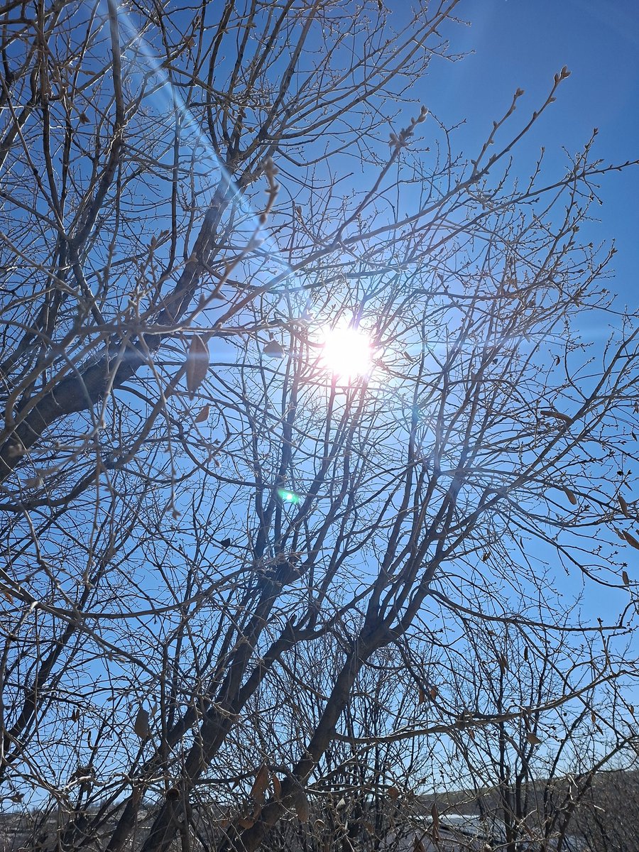 Kuralsız... Gûndî... tweet media