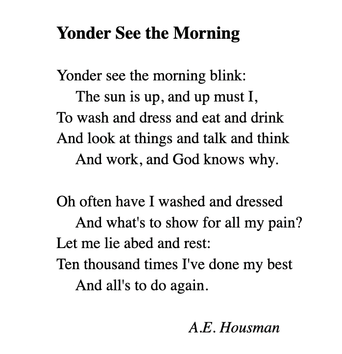 Celia Kitzinger tweet media