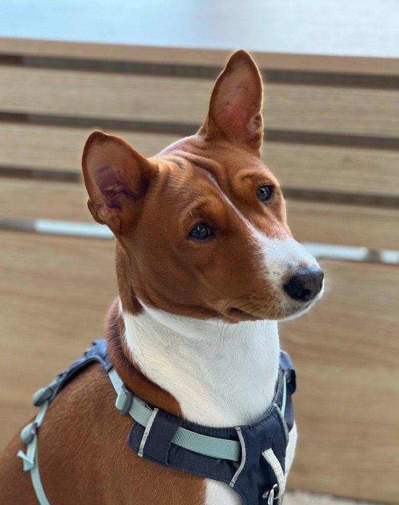 Варкоцік 🎀 tweet media