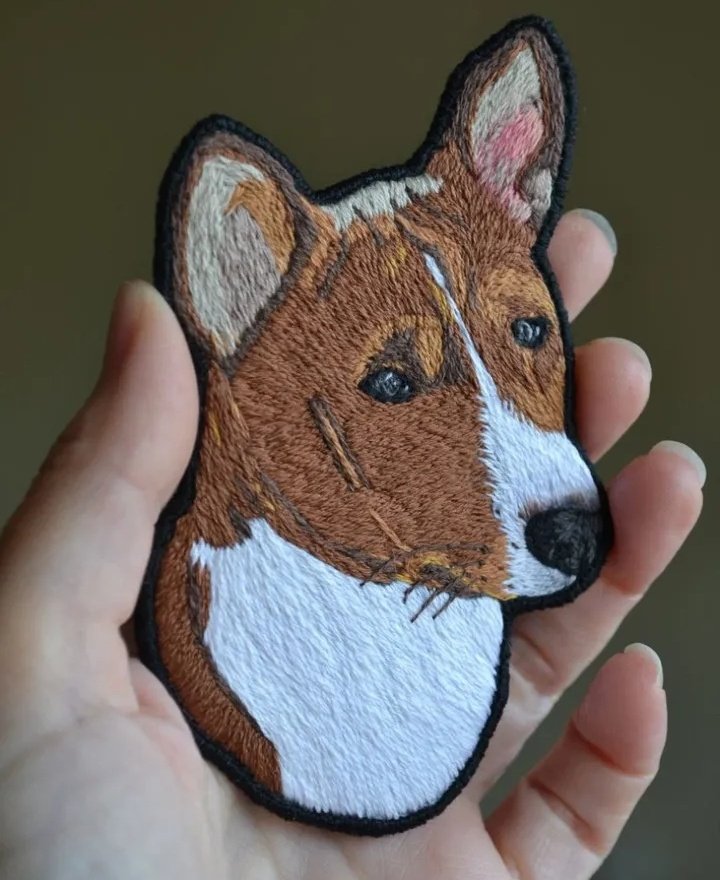 Варкоцік 🎀 tweet media