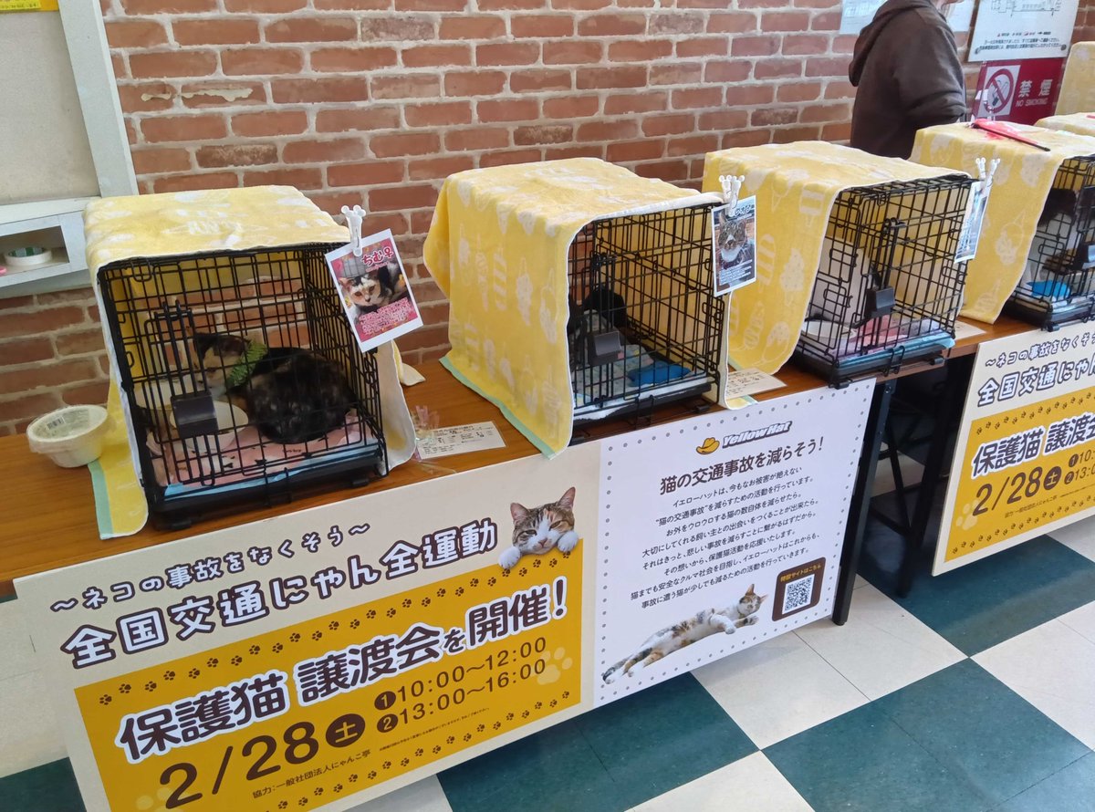 イエローハット tweet media