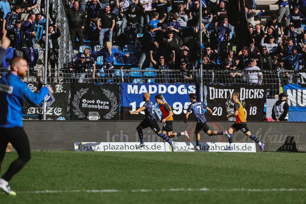 Terrence ₿oyd tweet media