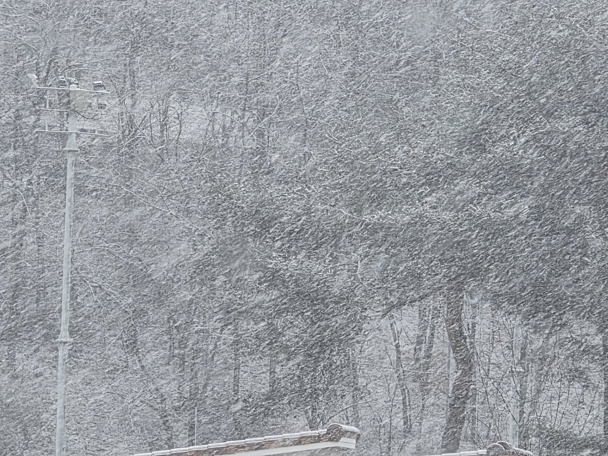 연  하 니 tweet media