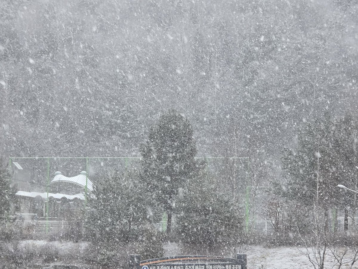 연  하 니 tweet media