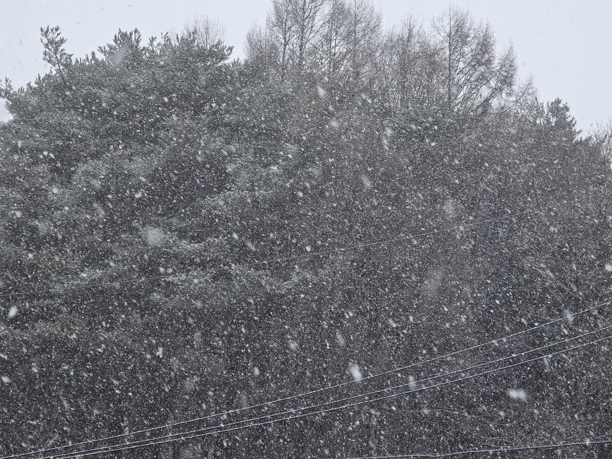 연  하 니 tweet media