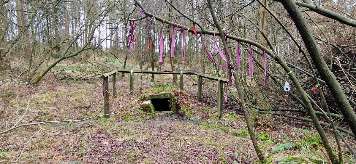 Dr Anne E Bailey tweet media