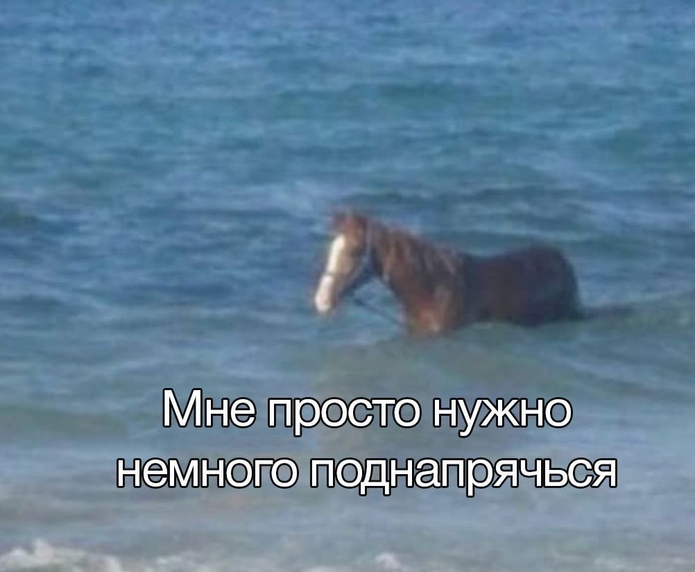 аконитовое зелье (@akonitmood) on Twitter photo 