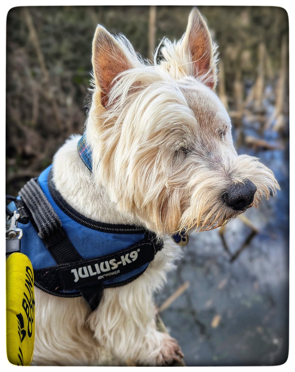 suzanne masters tweet media