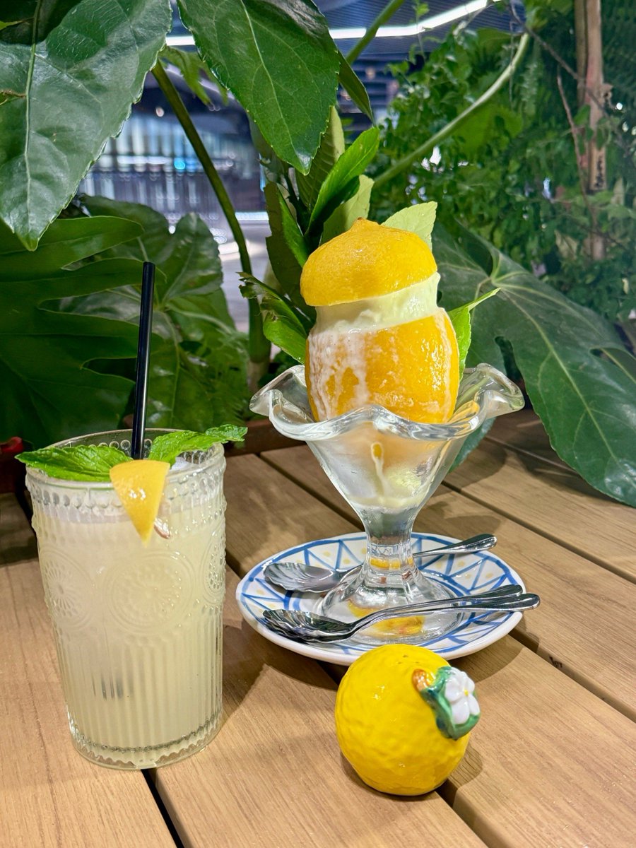 doctornft62604's tweet image. Cool down with our 2-minute Mango Mint Cooler! Blend 1 ripe mango (frozen!), 6 mint leaves,  cup coconut water + 1 tsp lime juice. Top with a mint sprig—refreshing, vegan u0026 zero added sugar.  #QuickDrinks #VeganTreats