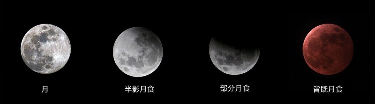 DWARFLAB_JP tweet media