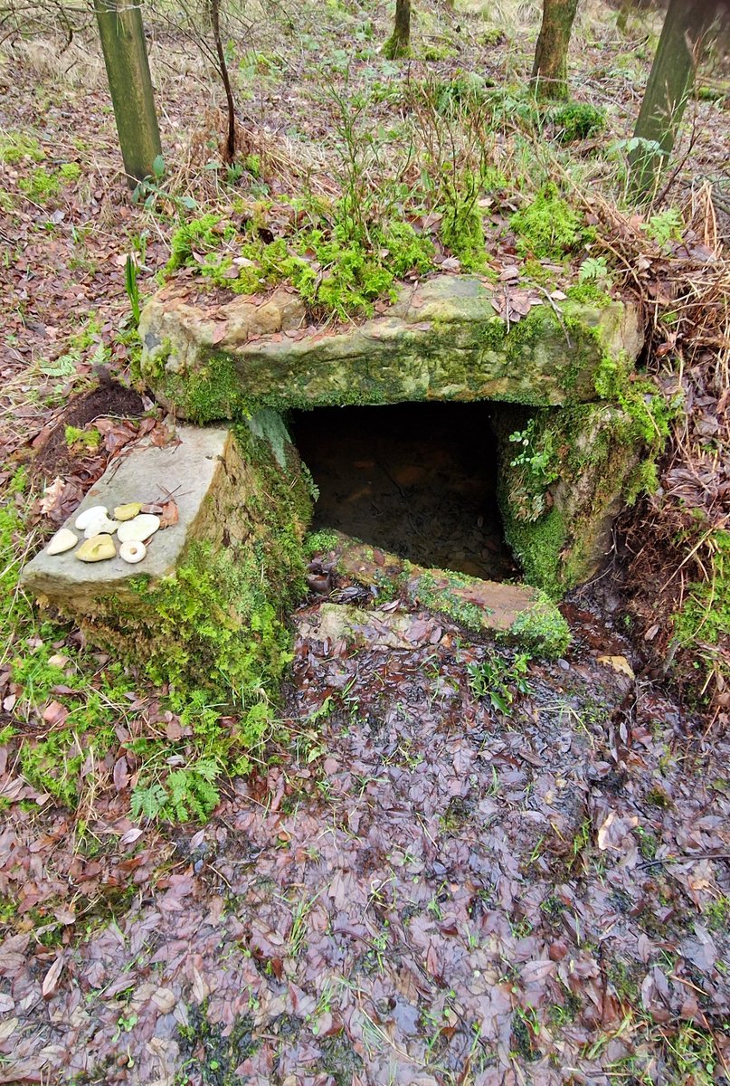 Dr Anne E Bailey tweet media