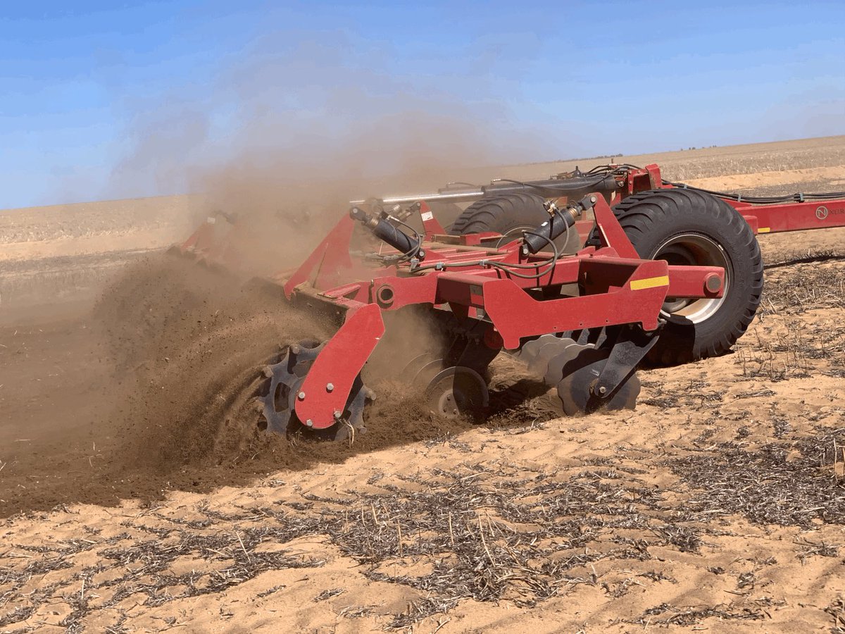 iMc Fels 📲🌾 tweet media