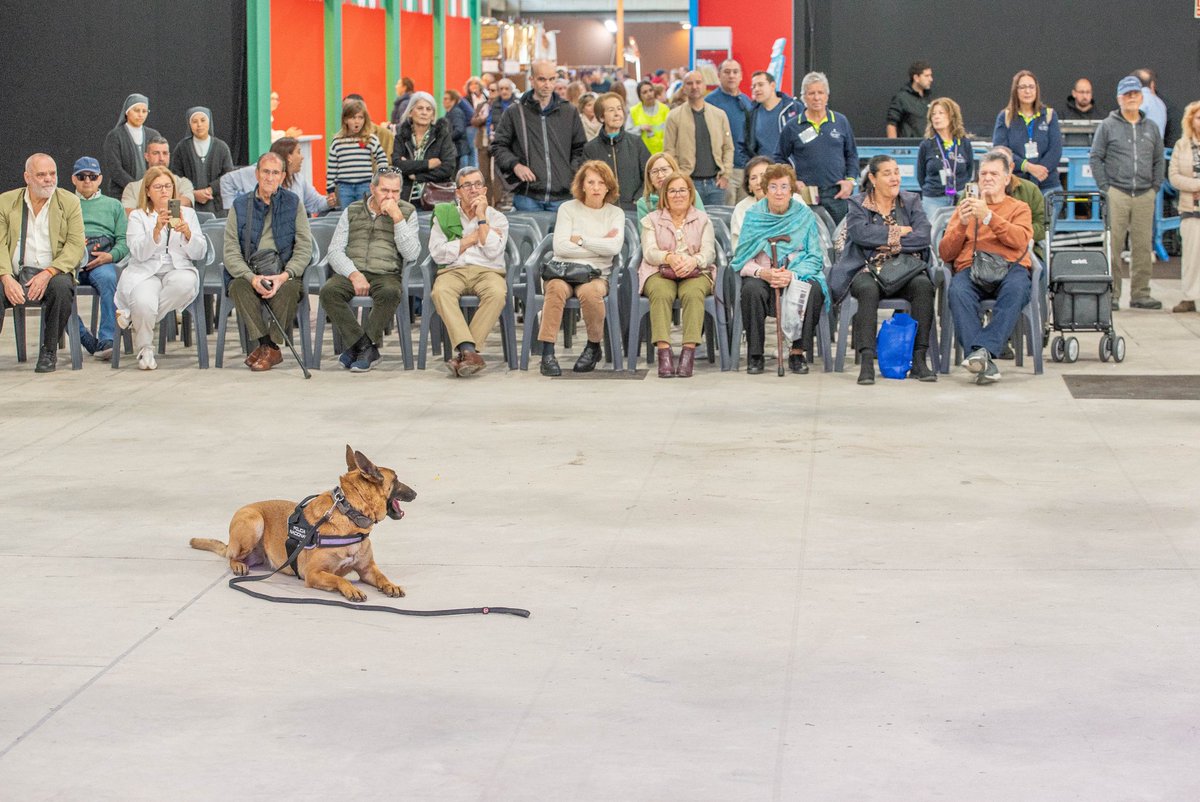 aytodebadajoz's tweet photo. 👏 La XXVII Feria de los Mayores de Extremadura ha finalizado en #FeriaBadajoz #IFEBA tras cuatro intensas jornadas, consolidándose como el principal punto de encuentro para el colectivo sénior.

https://t.co/hL3ZcnCoa2 https://t.co/DztCZFio6c
