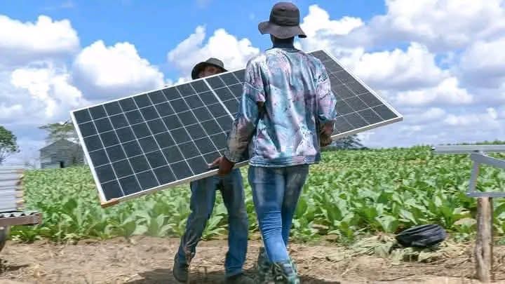 292 nuevos sistemas fotovoltaicos para el riego de las plantaciones, instalan los productores tabacaleros por estos días en #PinardelRío. 145 posiciones anteriormente recibieron este beneficio. #CubaEstáFirme #AgriculturaCubana