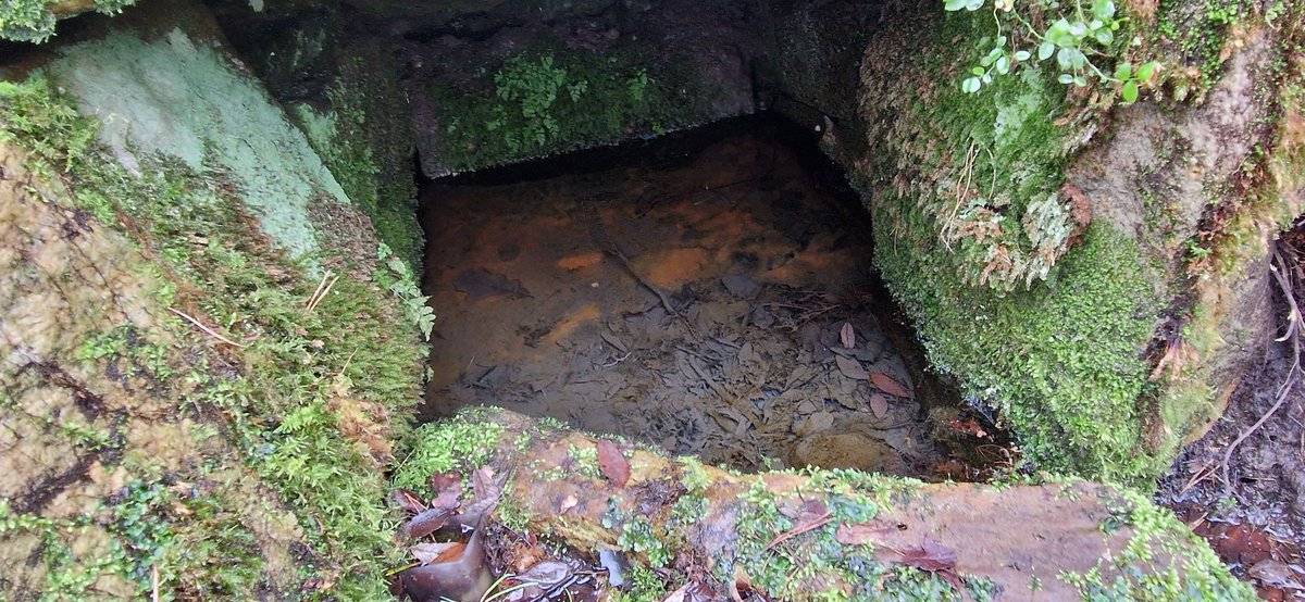 Dr Anne E Bailey tweet media