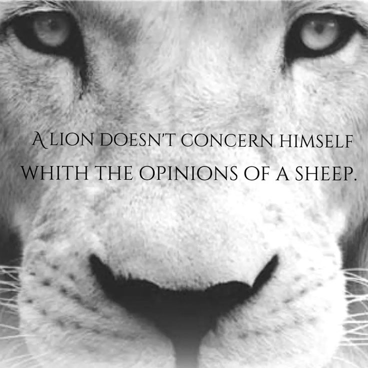 zuǝoꓕ 🇧🇹 tweet media