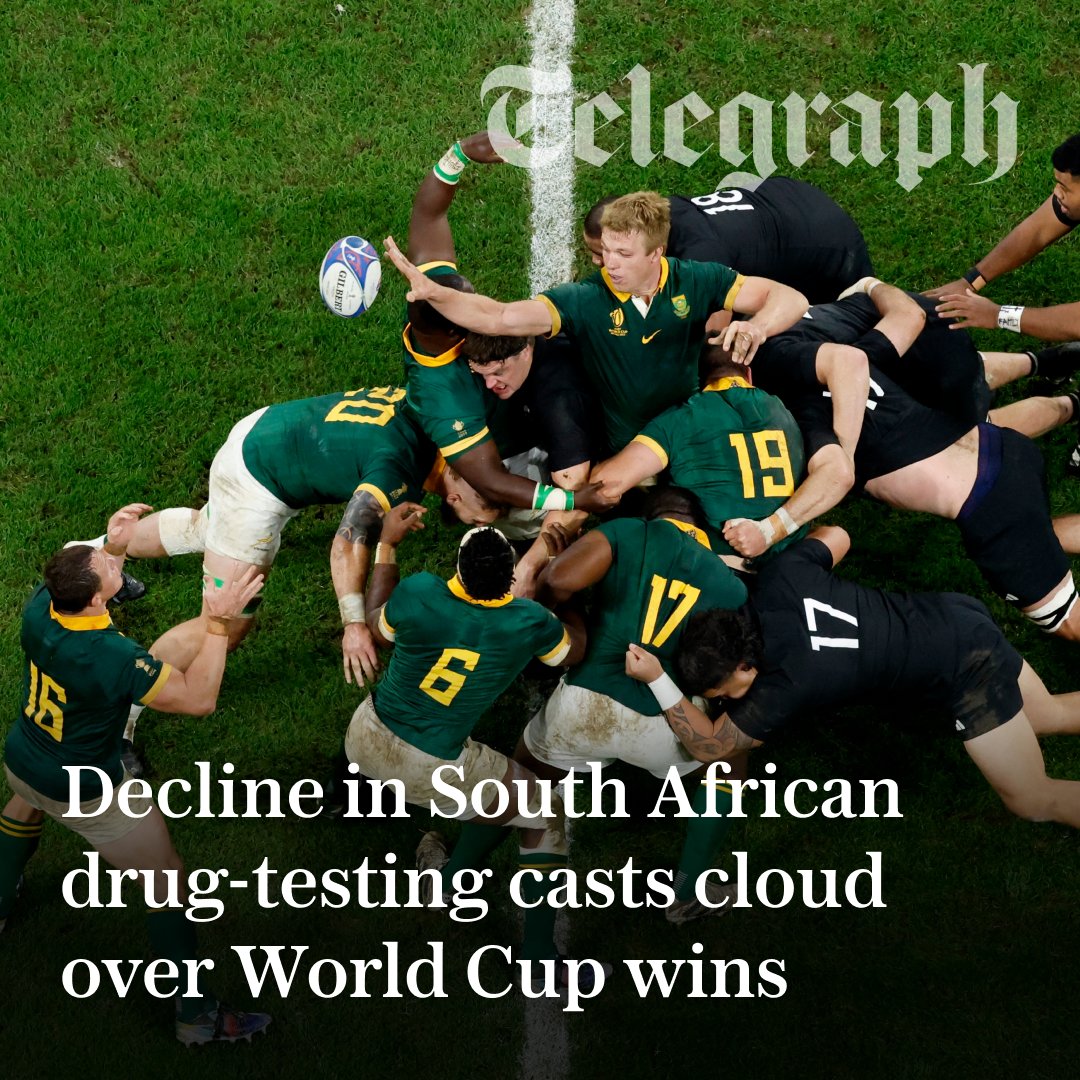 Telegraph Sport tweet media