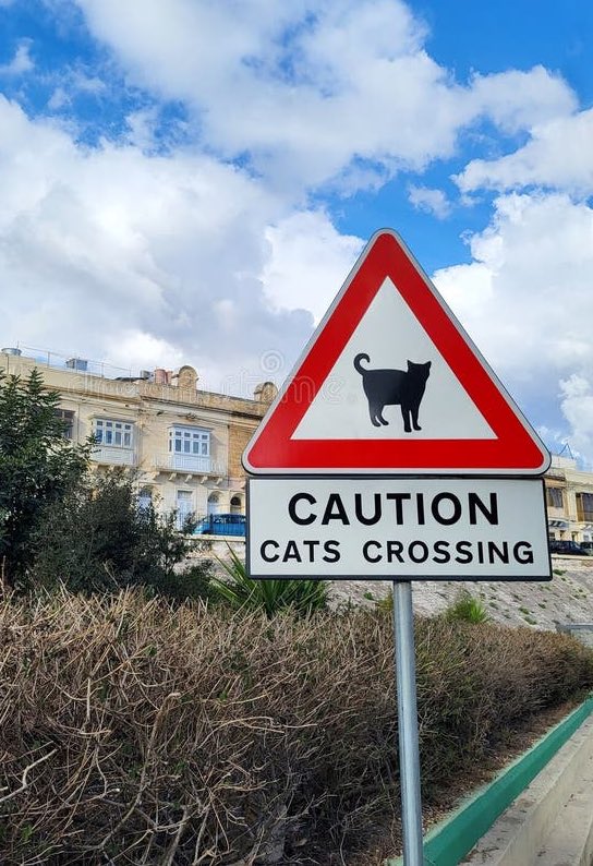 Boooo波妞! tweet media