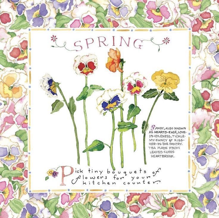 helen warlow tweet media