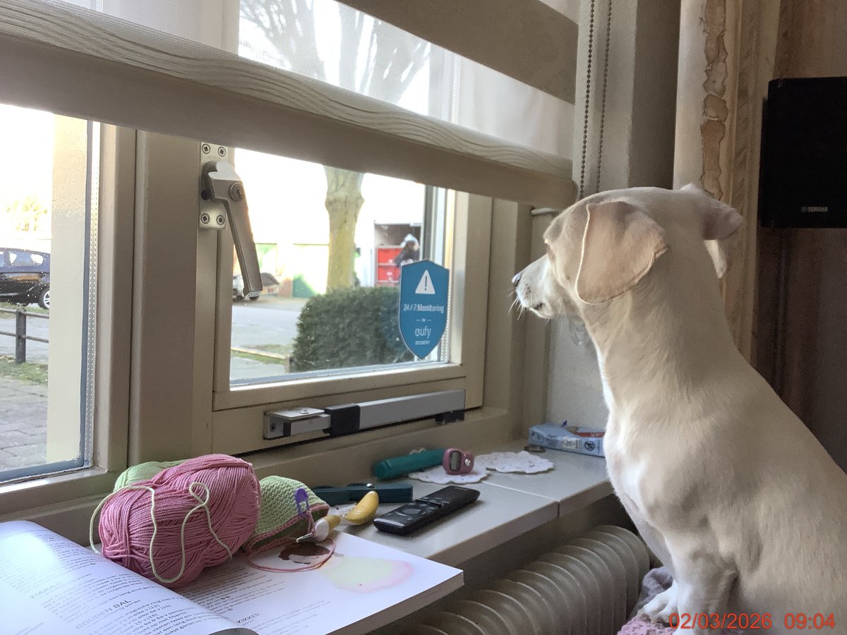 Ton Jacobs tweet media