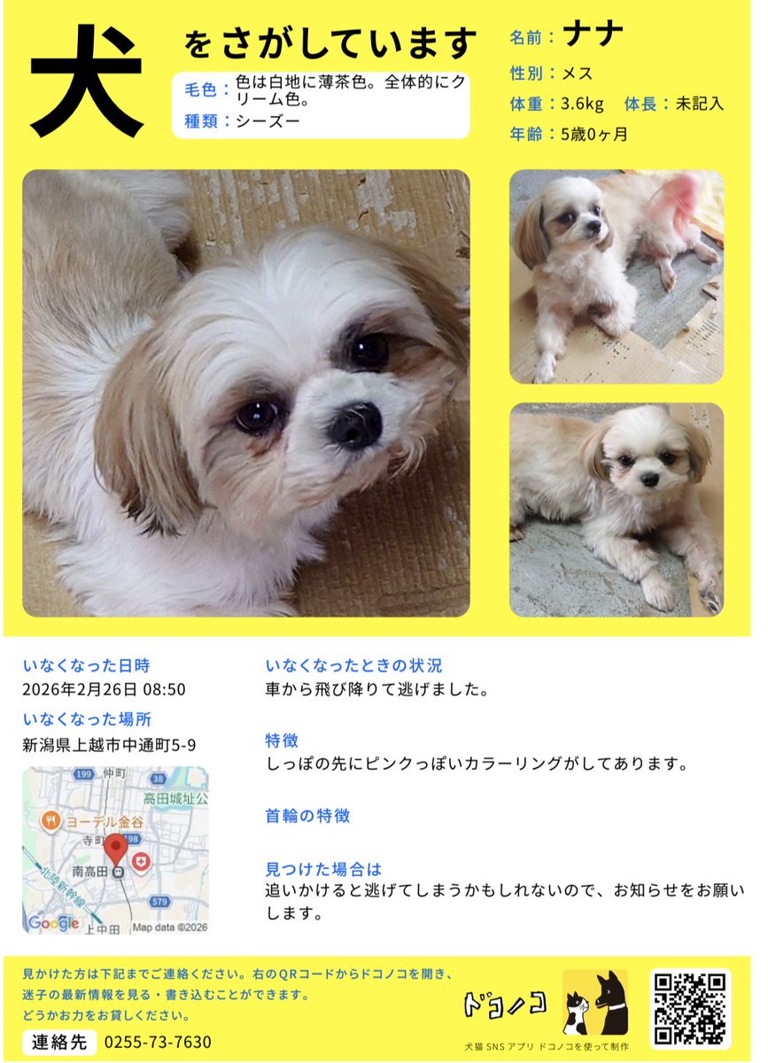 早く見つかります様に✨️