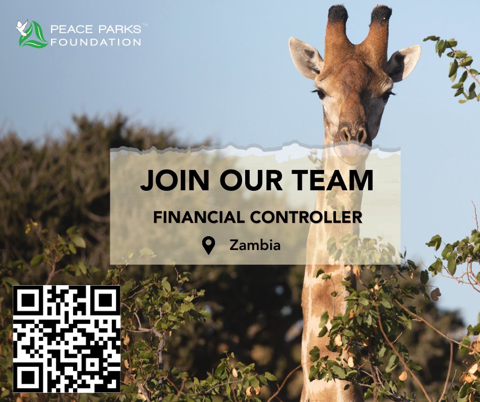 Peace_Parks's tweet photo. Peace Parks is looking for a Financial Controller to join our team. Scan the QR code or visit the link for more https://t.co/uQLk0rEjAf. Apply by 11 March.
#ConservationCareers #PeaceParksFoundation #FinancialController #NatureWithoutBorders https://t.co/HnLy0Ly7Rp