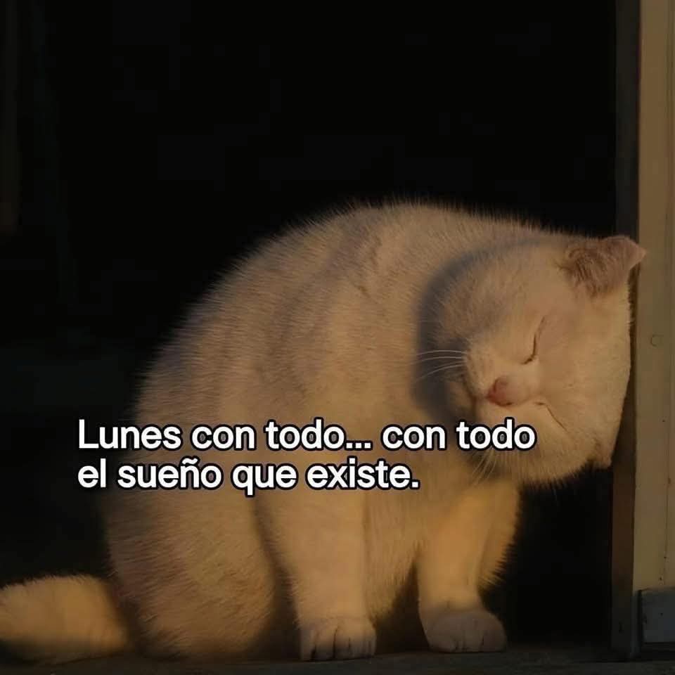 En Júpiter (@en_jupiter_) on Twitter photo 