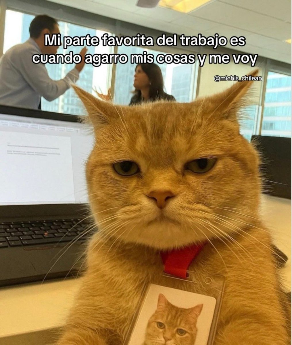 En Júpiter (@en_jupiter_) on Twitter photo 