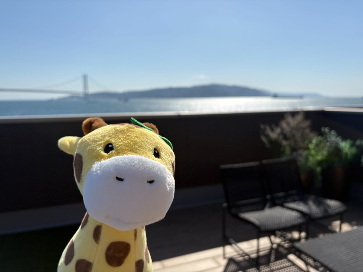 Disco Star (@CstarDis) / Posts / X