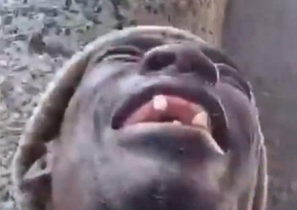 “Go and do your homework KOA II Part 1”