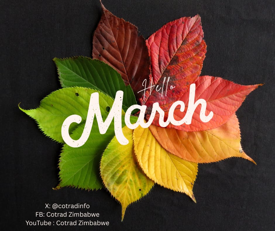 COTRAD, ZIMBABWE tweet media