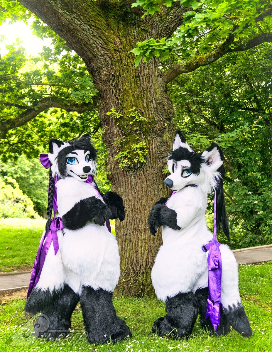 Foxyvix1's tweet photo. Double the rawr 💜 https://t.co/3DwvjjbOzR